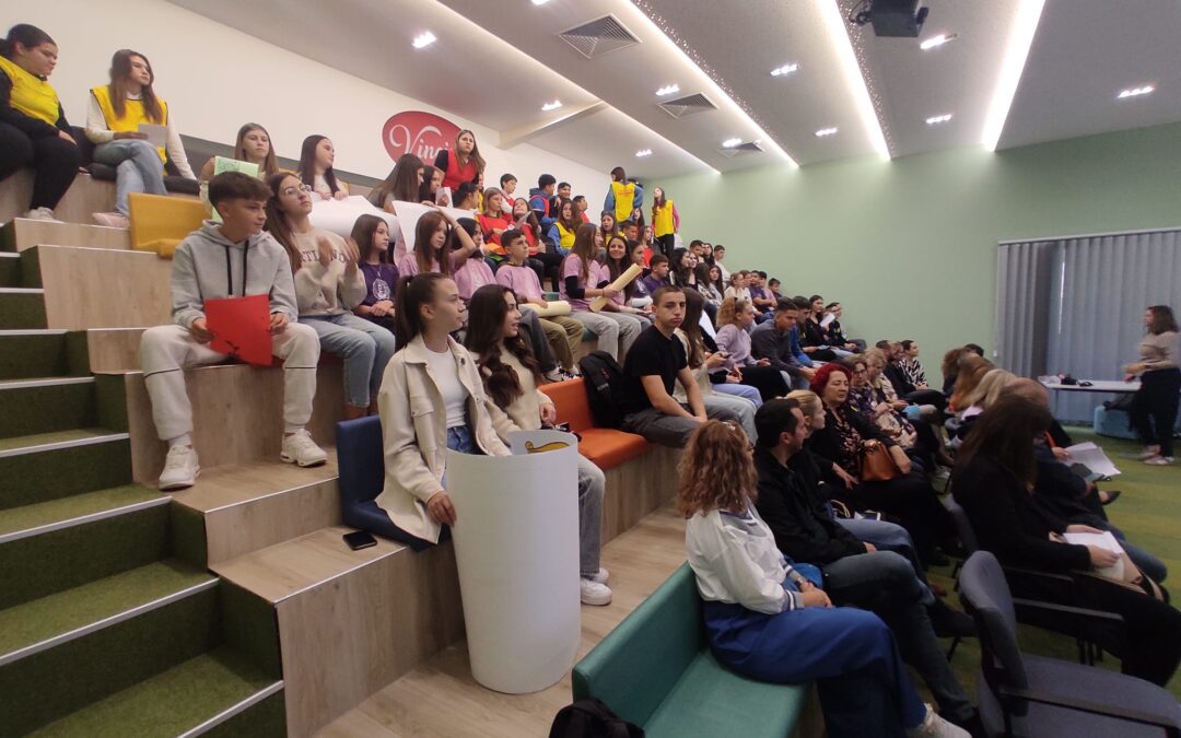 Локален панел и консултации во општина Виница